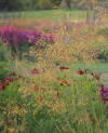 formation jardin à l'anglaise'